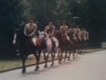 /album/centro-militare-veterinario-grosseto/a2012-09-14-11-53-52-jpg/